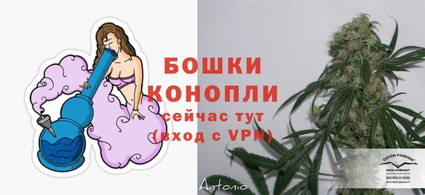 дживик Тихвин